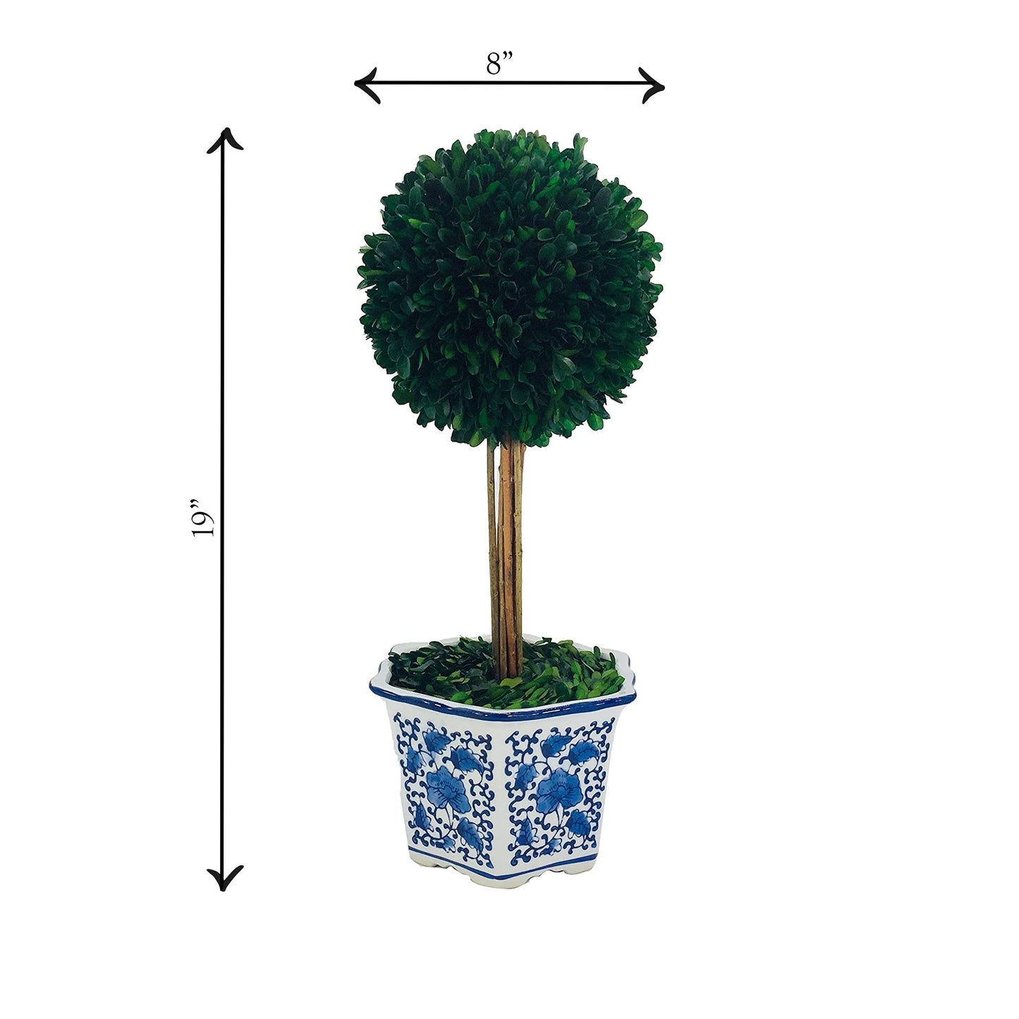 Galt Real Preserved Boxwood Ball Topiary Tree in Blue & White Ceramic Pot Plant & Table Centerpiece Stunning Greenery and Plant Decor for Home Blue & White Ceramic Pot - 8" Diameter Topiary 19" Tall