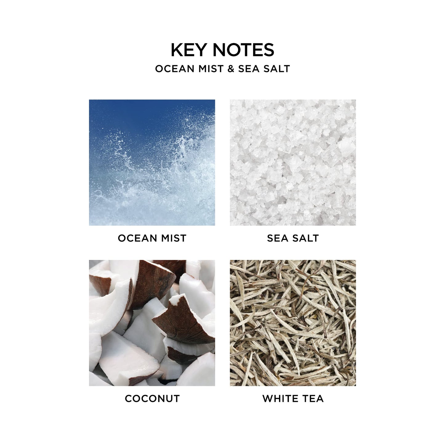NEST New York Scented Classic Candle, Ocean Mist & Sea Salt - 8.1 oz - Up to 60-Hour Burn Time - Reusable Glass Vessel